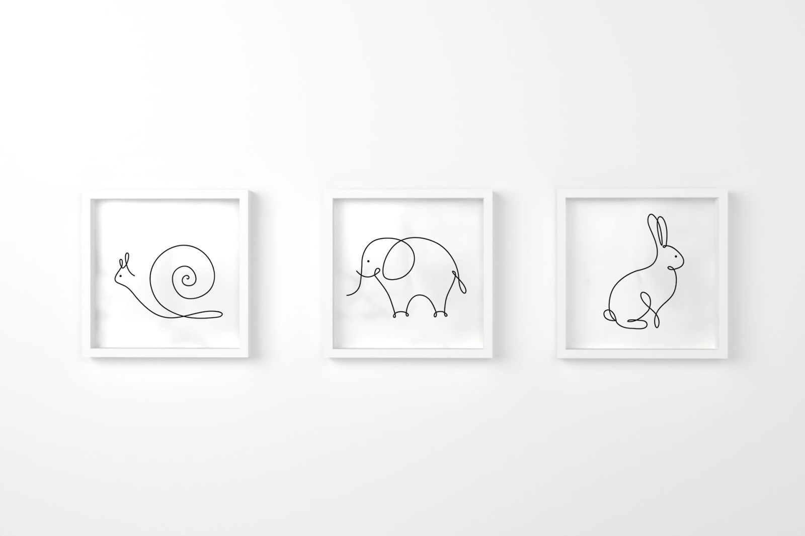 caracol conejo elefante blanco