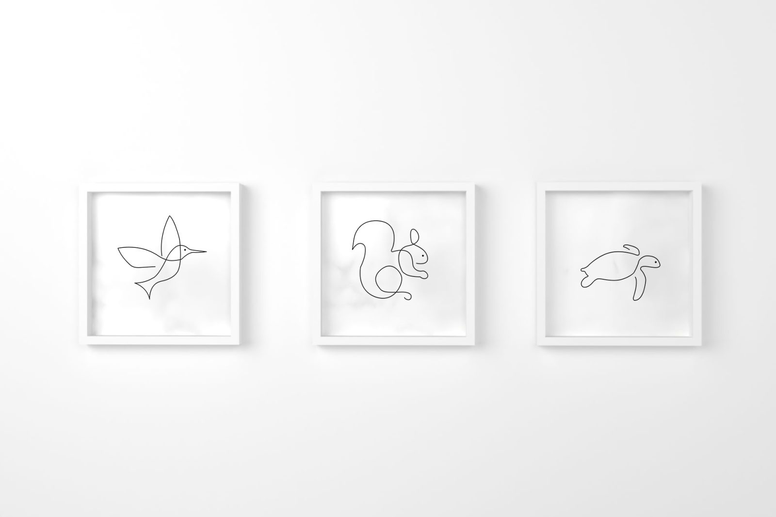 pÁjaro tortuga ardilla blanco