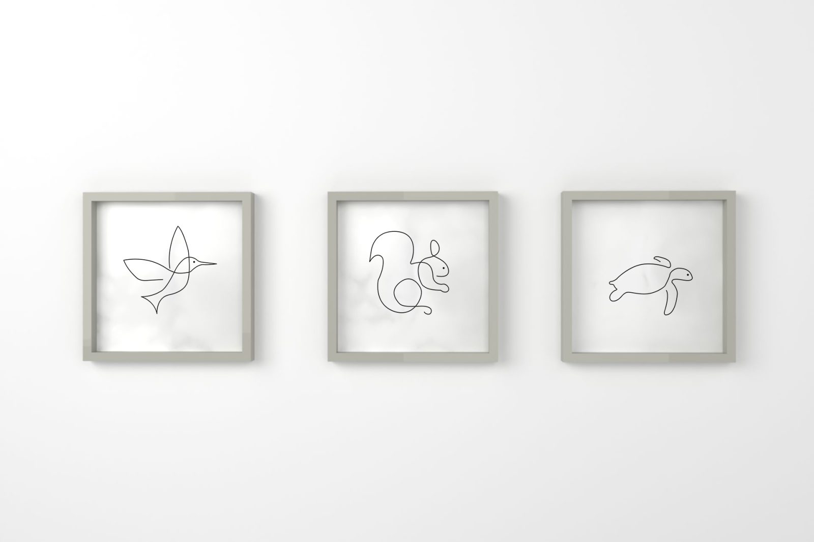 pÁjaro tortuga ardilla gris