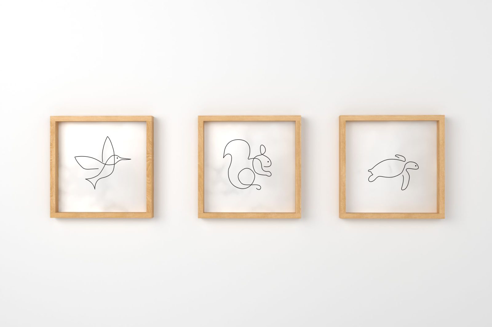 pÁjaro tortuga ardilla maple