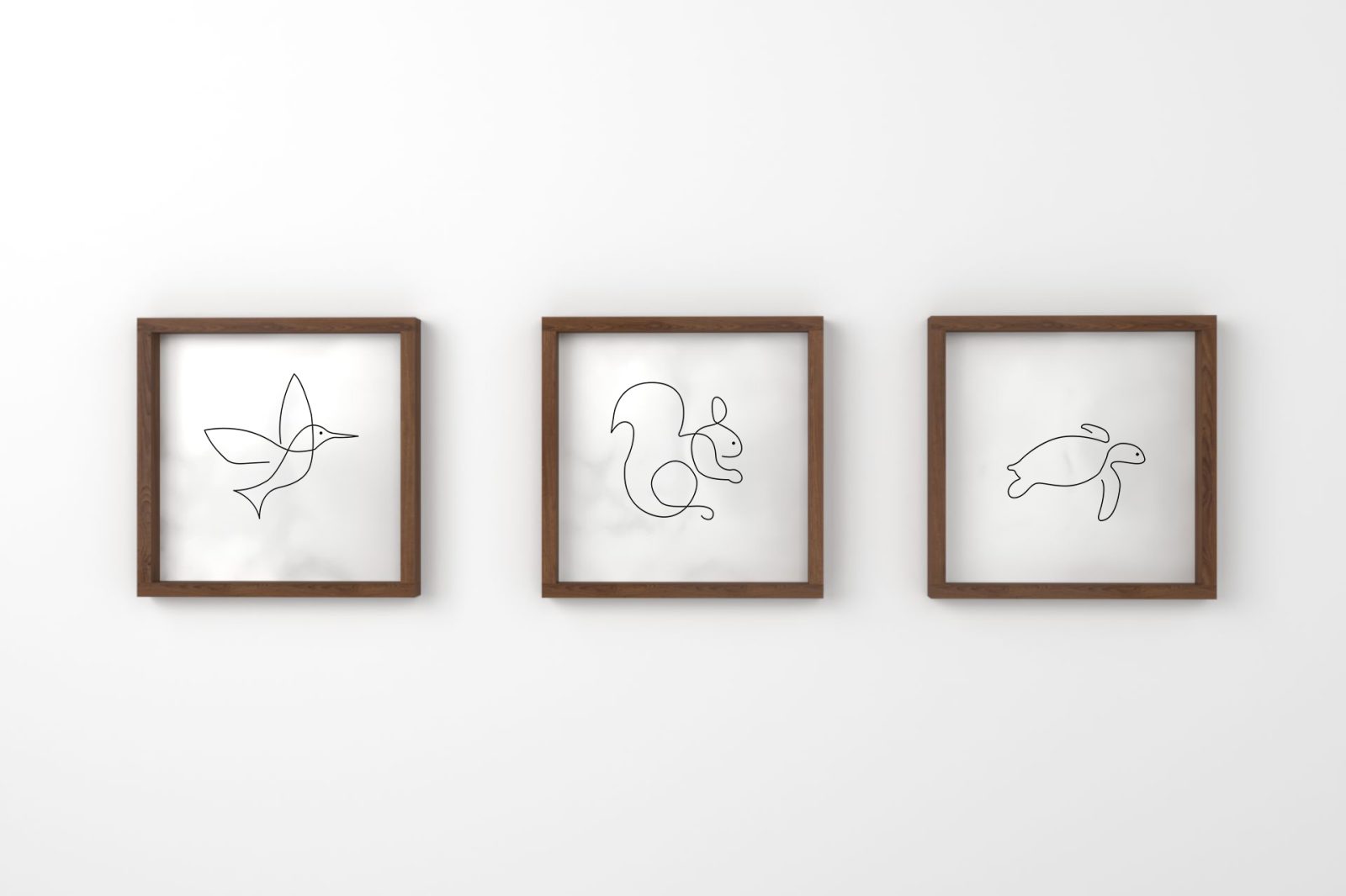 pÁjaro tortuga ardilla nogal